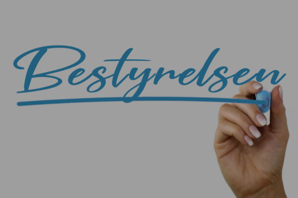 bestyrelsen handdraw